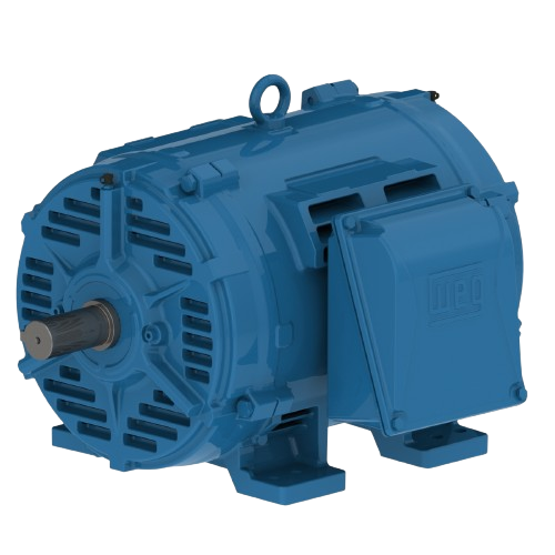 W40 ODP Motors